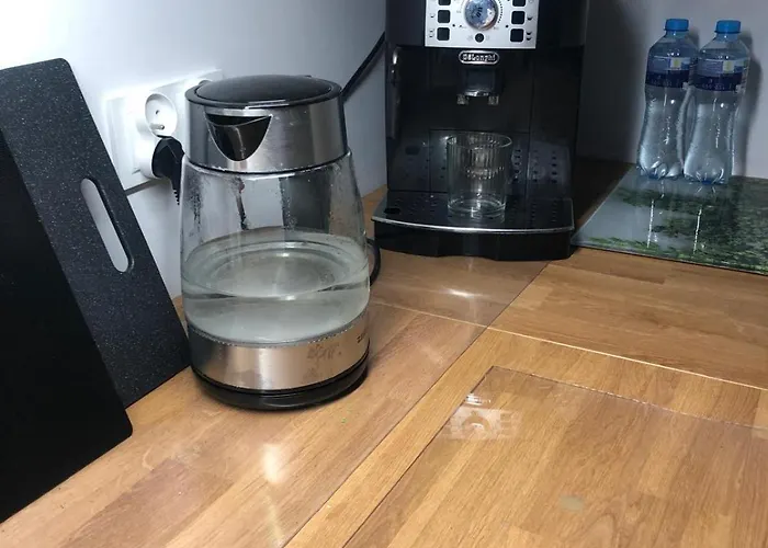 Montana Easy Center 公寓 *